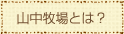 山中牧場とは？
