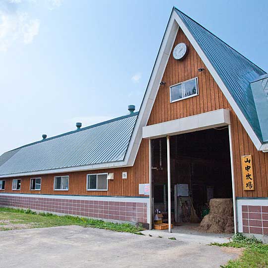 山中牧場牛舎