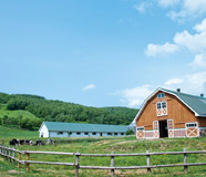 ゆったりとした環境