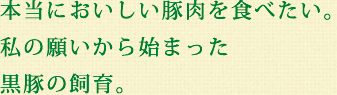 本当においしい豚肉を食べたい。私の願いから始まった黒豚の飼育。