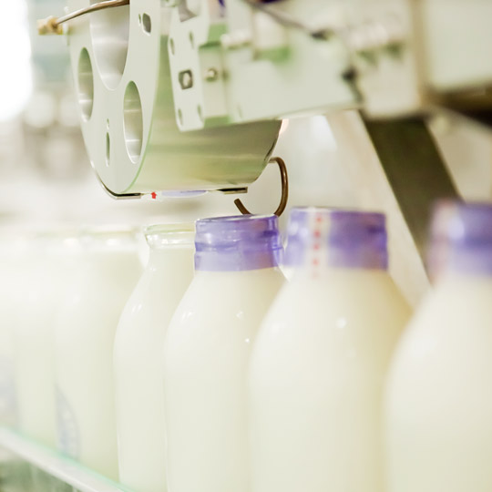 ミルク製造ライン