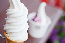 お店の周辺の花壇や季節の草花