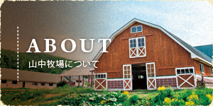 山中牧場について