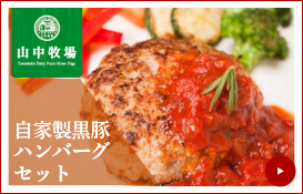 山中牧場自家製黒豚ハンバーグセット