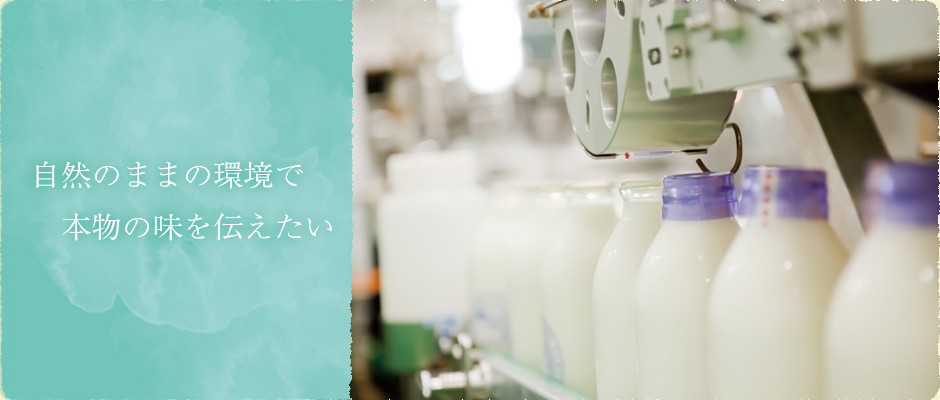 質の高いミルクプラント