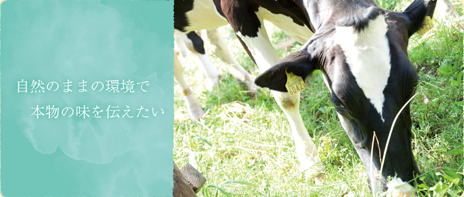 山中牧場の牛乳が美味しいのはあなたも自然の一部だから